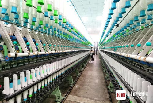 國家麻類產業技術體系首席科學家朱愛國 中國苧麻產業發展迎來 新風口