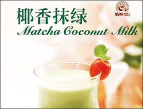 奶熊飲品站——優(yōu)質(zhì)產(chǎn)品與加盟支持解析