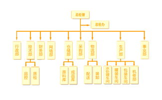島上草集團組織架構(gòu)與業(yè)務(wù)發(fā)展概覽